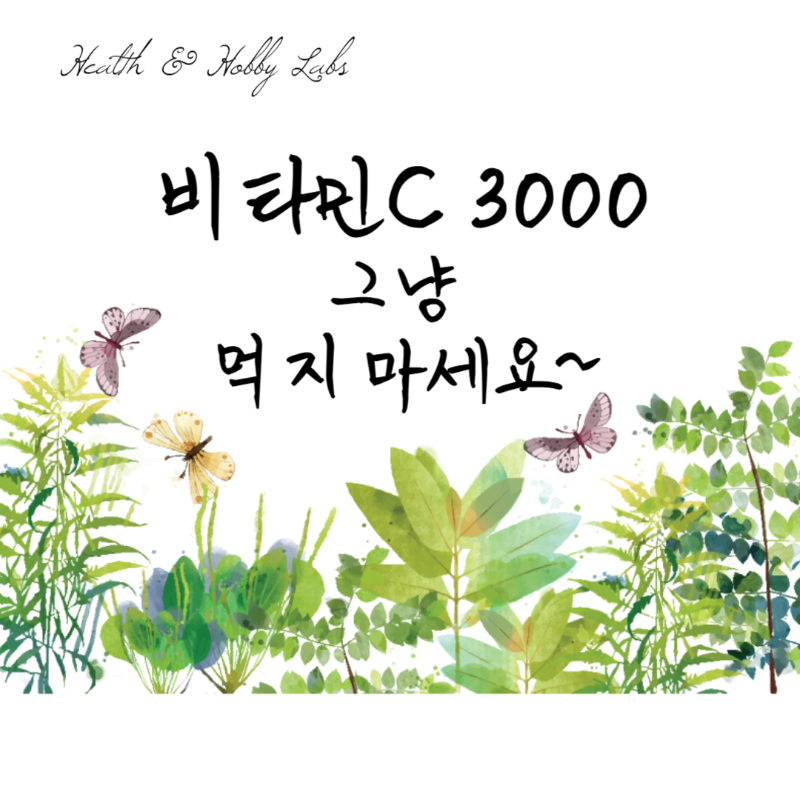비타민C 3000mg 효능 부작용 복용