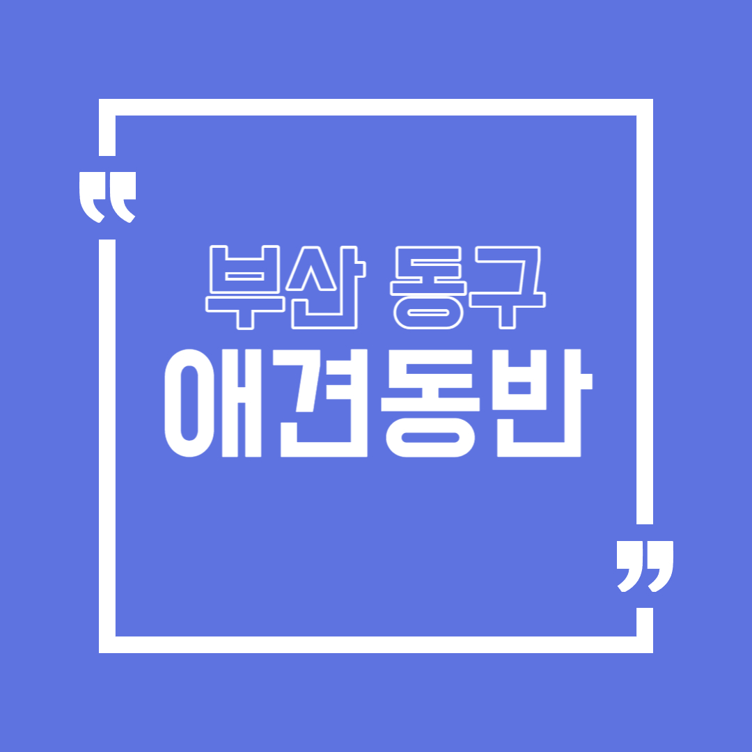 부산 동구 애견동반