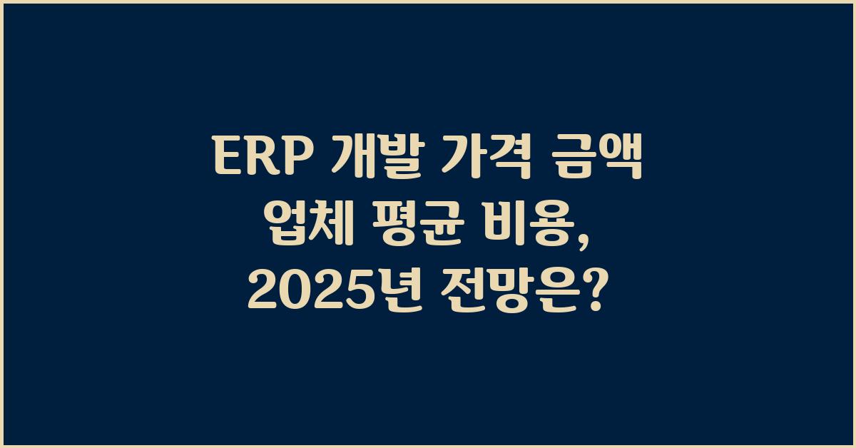 ERP 개발 가격 금액 업체 평균 비용
