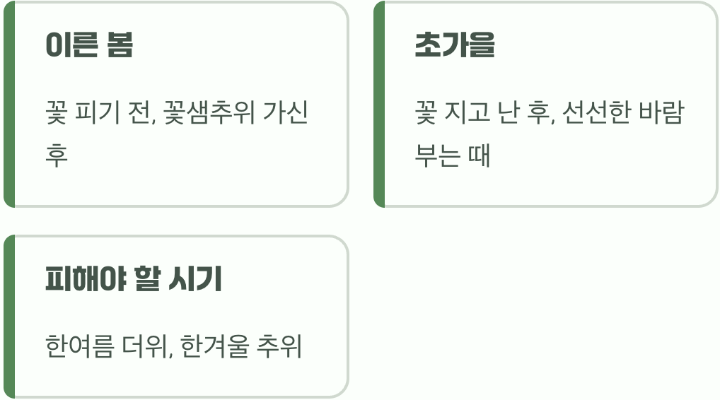 식물 이사를 위한 최적의 시기