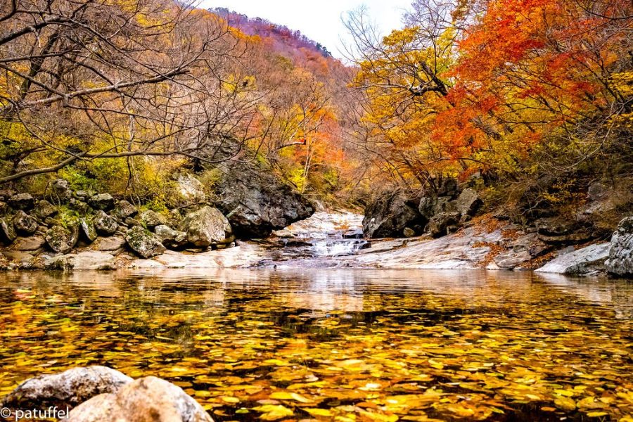 지리산 가을 숲 여행 마무리
