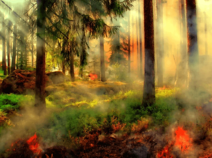 불이 나는 꿈 해몽