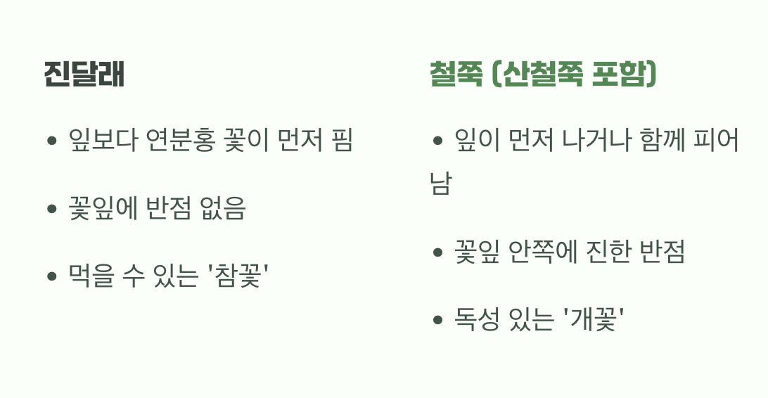 진달래? 철쭉? 산철쭉? (헷갈리는 삼 형제)