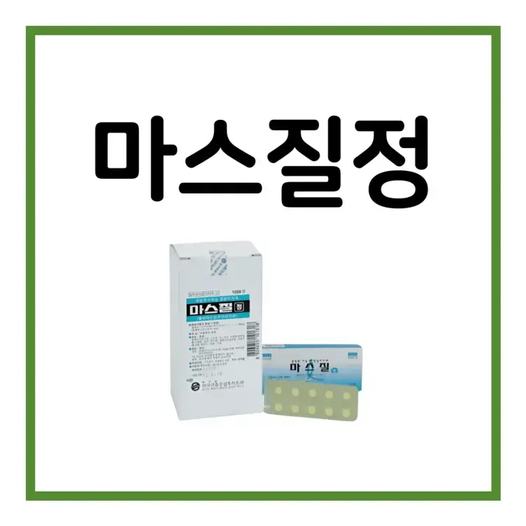 마스질정-이미지