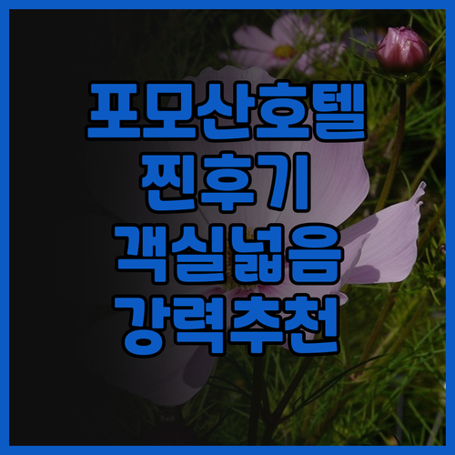 포모산 나루완 가든 호텔 찐 후기 넓
