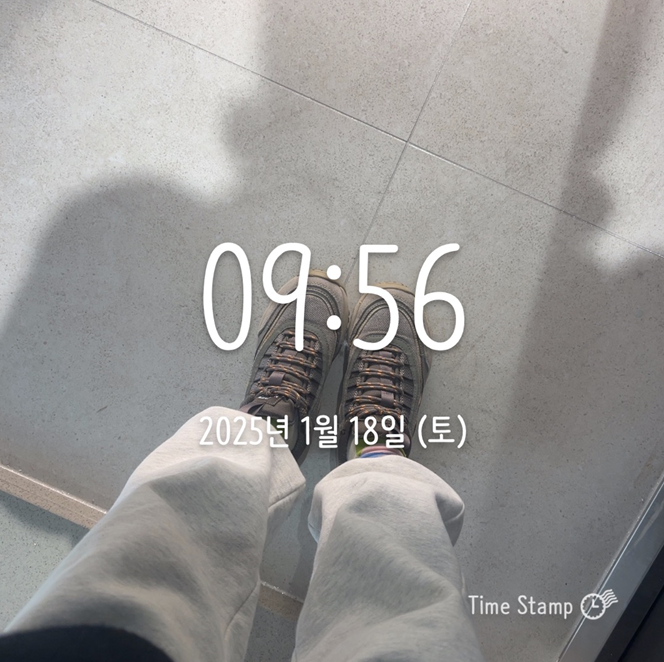 임장-발사진-출발