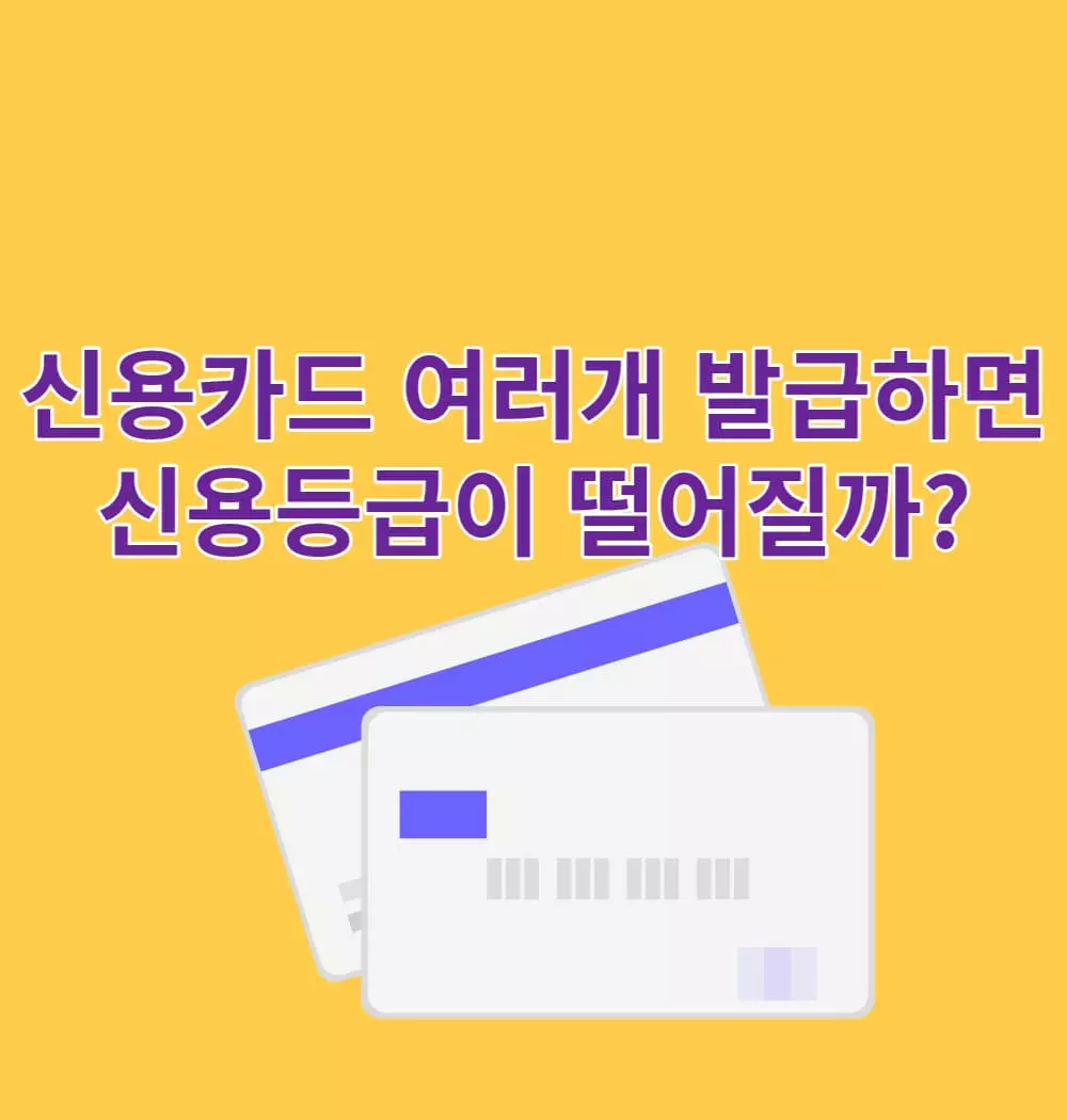 신용카드-발급-수와-신용등급-관계
