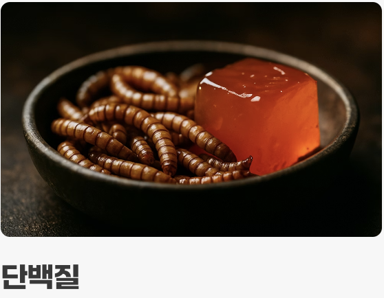 3. 채식과 육식을 겸비한 식단 (먹이)