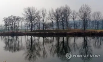 춘천 호수 산책 소양강 스카이워크 닭갈비 동선_7