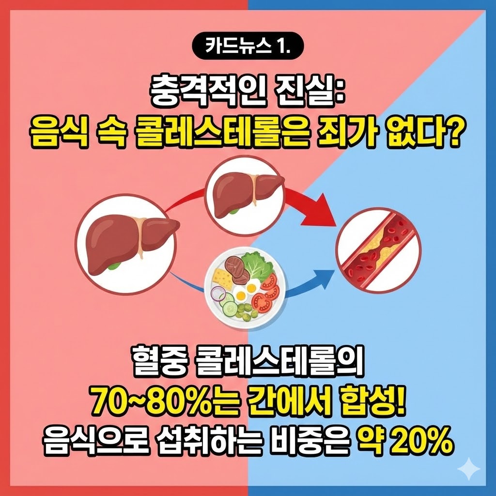 콜레스테롤 높은 음식