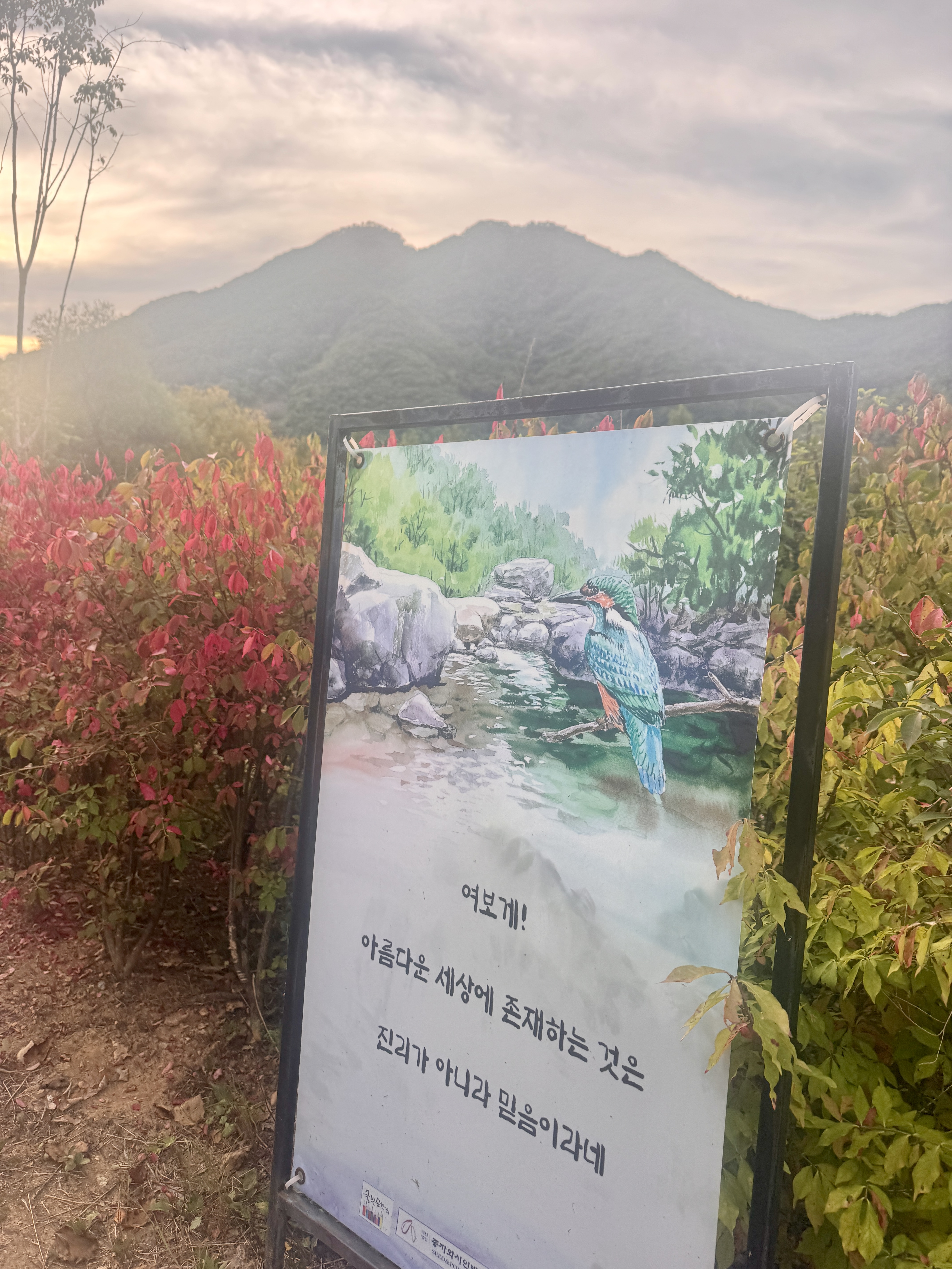 연천 재인폭포 공원 산책길 단풍 사이에 전시된 글과 그림