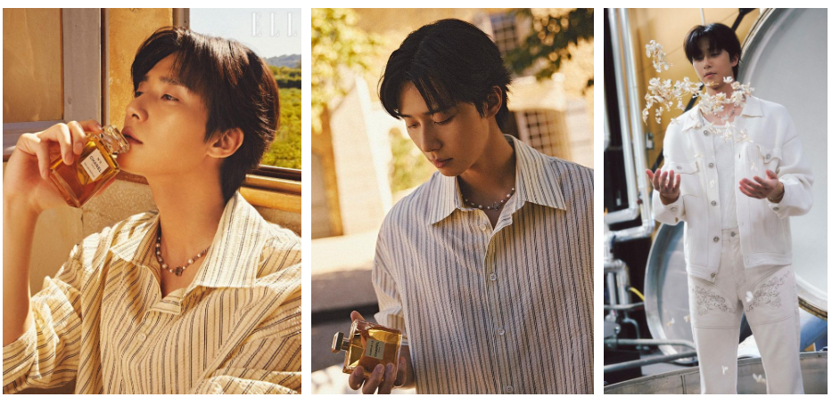 박서준 프로필 드라마 예능 서진이네 작품활동