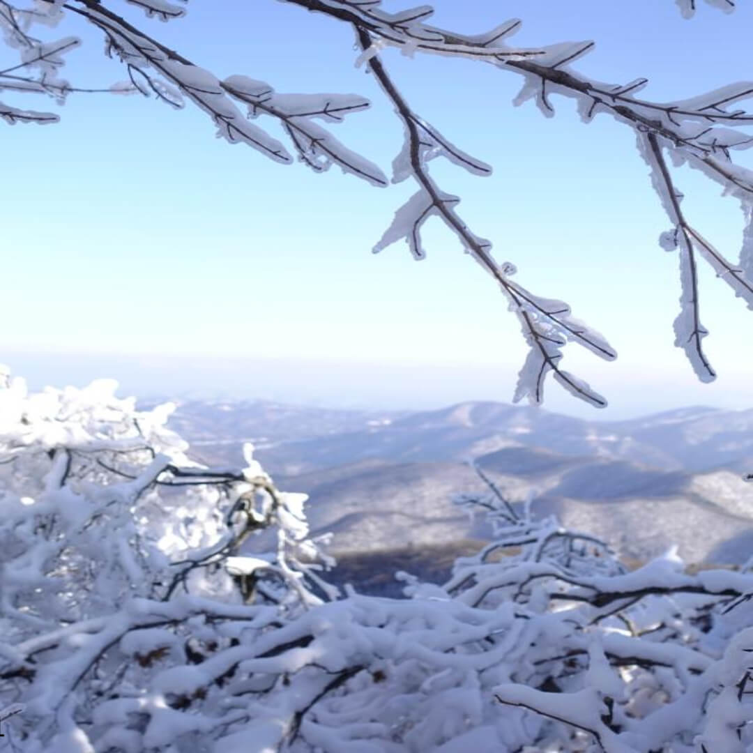 2025년 블랙아이스 안전운전 방법