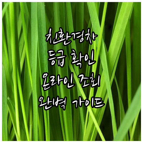 자동차 친환경 등급 확인 방법 등록증