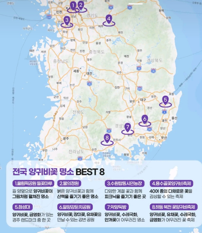 양귀비꽃 명소 지도 위치 표시 사진