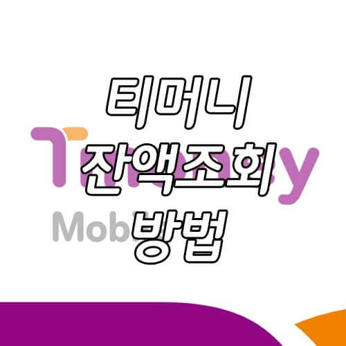 티머니 잔액 조회, 티머니카드 잔액 확인을 위한 5가지 방법!