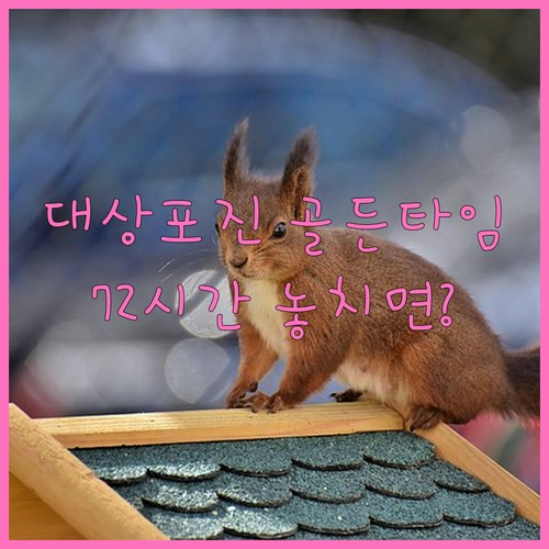 신경 손상 막는 대상포진 골든타임 7..