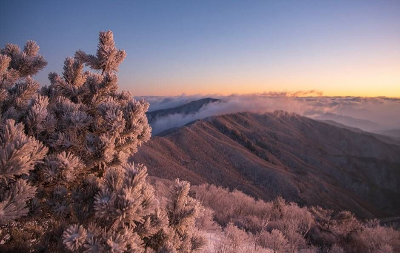 연말 새해 카운트다운·해돋이·해맞이 명소와 걷기 좋은 길 추천