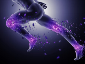 글루코사민의 효능