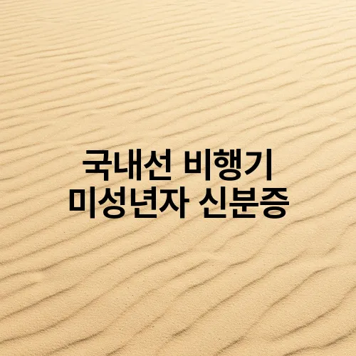 국내선 비행기 미성년자 신분증