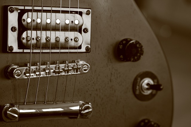 일렉트릭 기타 취미 만들기