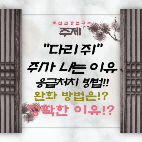 다리에 쥐가 자주 나는 이유 통증 해결하기 다리에 쥐 응급처치