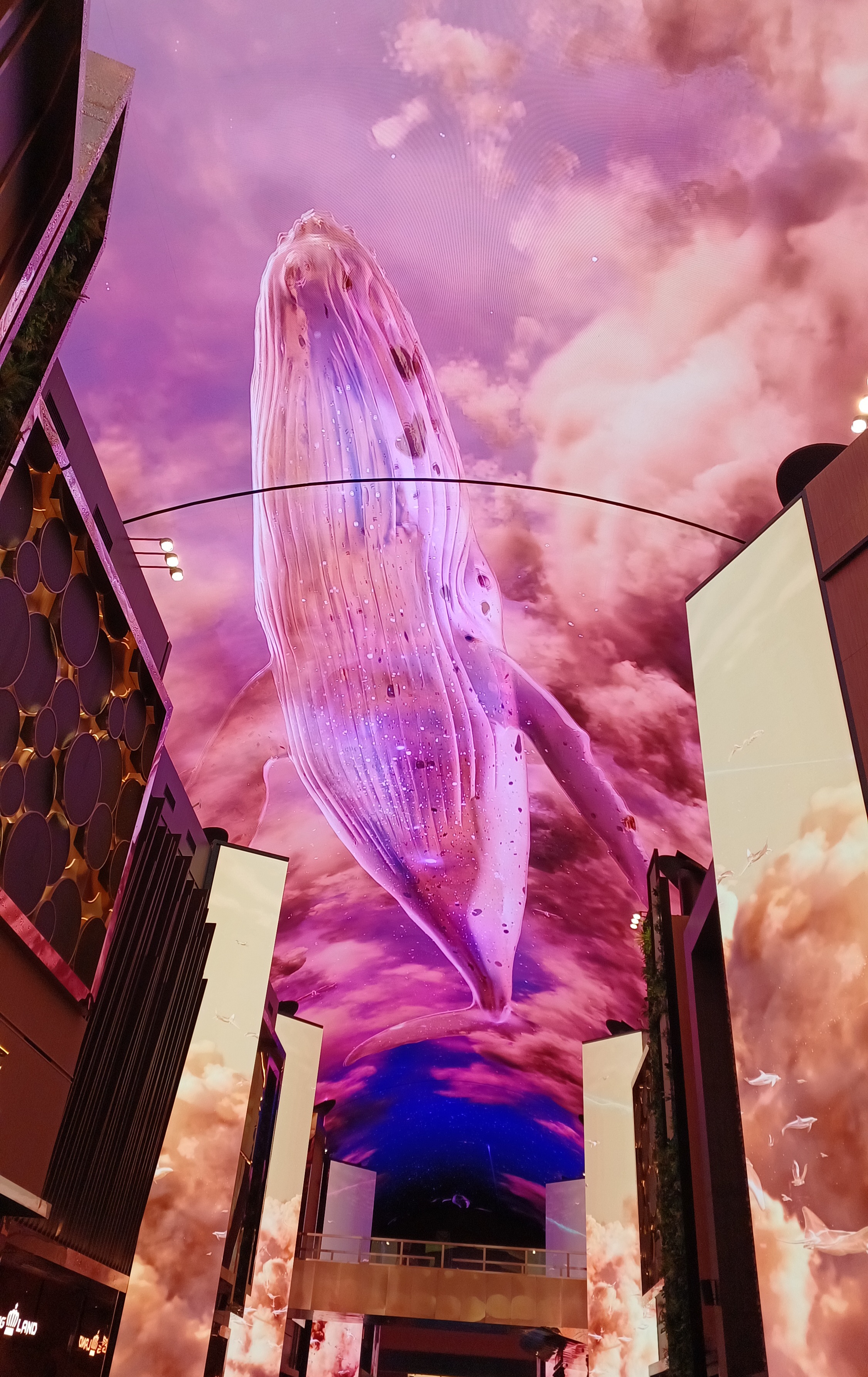 인스파이어-오로라-고래쇼-9