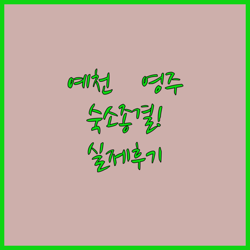 경북 예천 영주 출장 여행 숙소 추천..