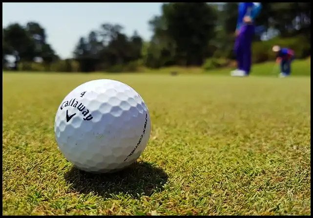 파크골프 용어 정리 (+ 해설 )