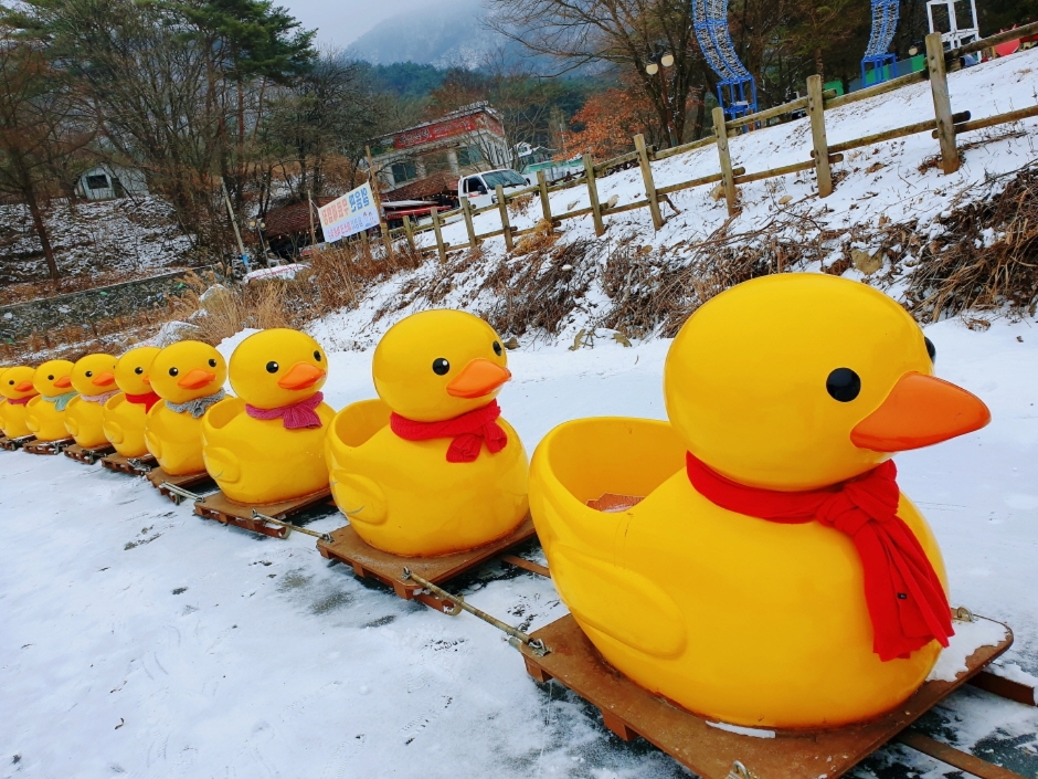 겨울 축제 일정표 커플 여행지