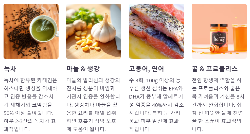 알레르기에 좋은음식