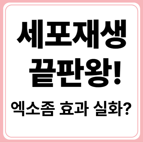 피부과도 주목한 엑소좀 세럼 효과와 사용법 총정리