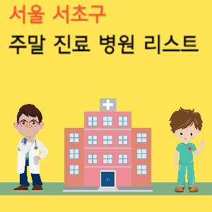 서울 서초구 주말 진료 병원 리스트