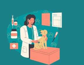 동물병원 진료비, 이젠 투명하게…8월부터 동물병원 진료비 공개 의무화!