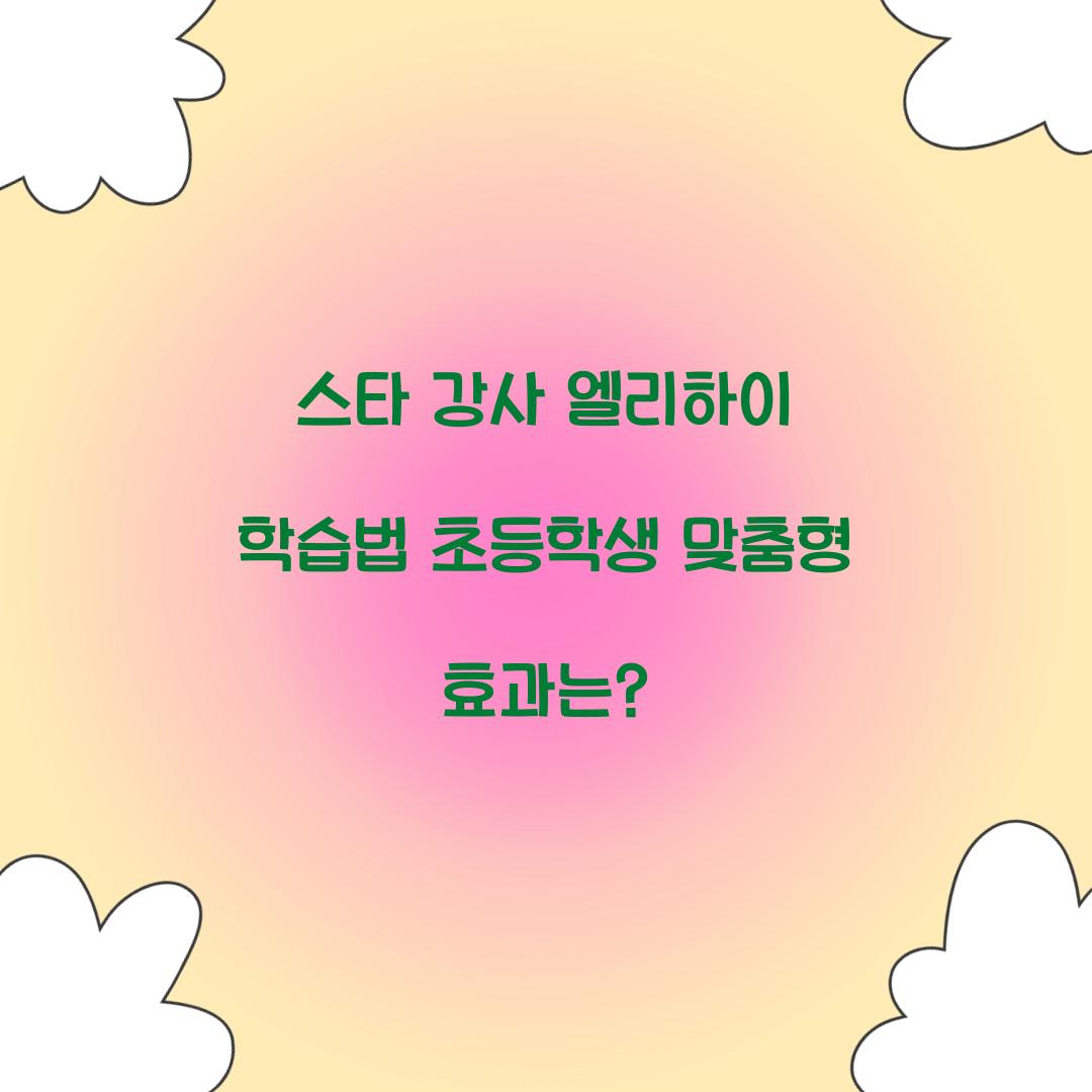 스타 강사 엘리하이 학습법