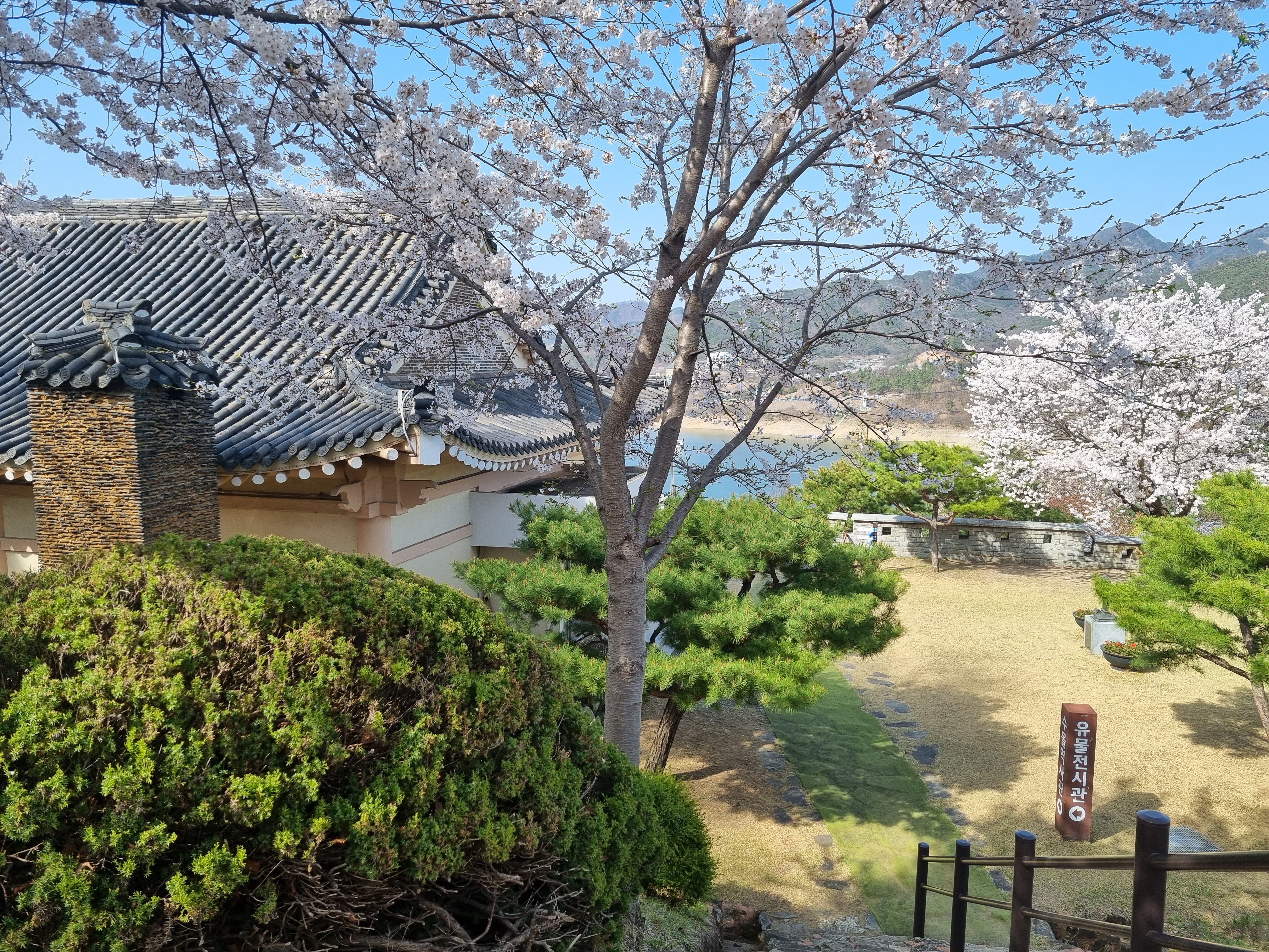 청풍문화재단지 산책