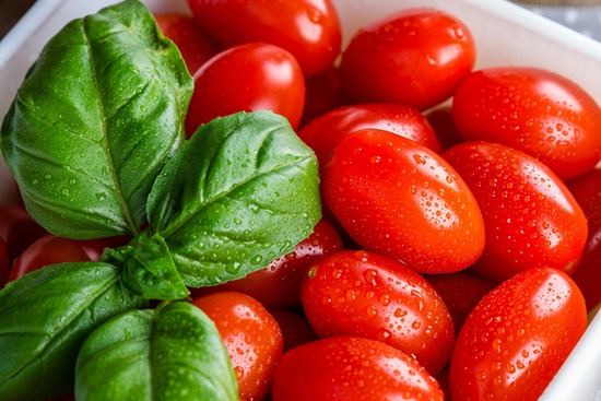 향긋한&nbsp;식용&nbsp;허브&nbsp;"바질&nbsp;기르기"&nbsp;파종/물주기/순지르기/특성/활용 레시피