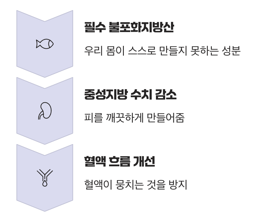 혈관 청소부&amp;#44; 오메가-3가 필요한 이유