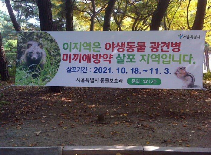 광견병 미끼 예방약 살포 알림