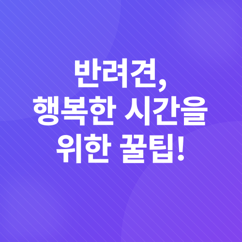 반려견 놀이터_2