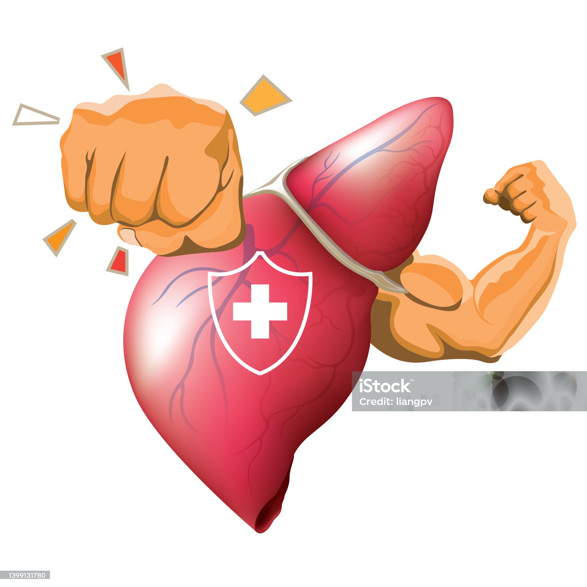 간염-관련-사진