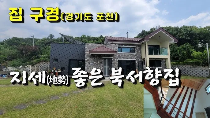 북서향 창문 식물 선택 저광량관리 물주기 식물등 세팅 가이드_1