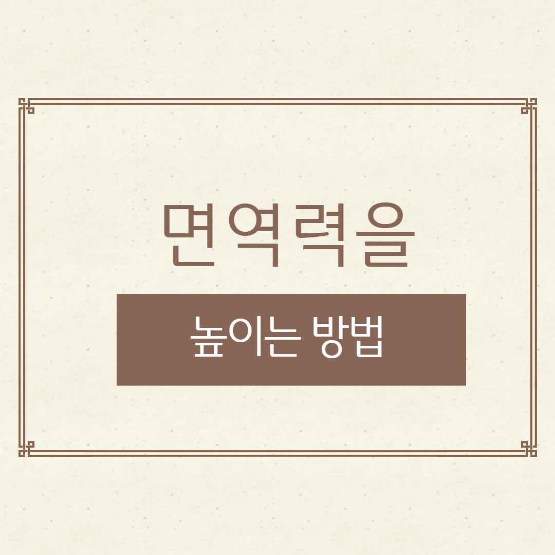 면역력을 높이는 방법