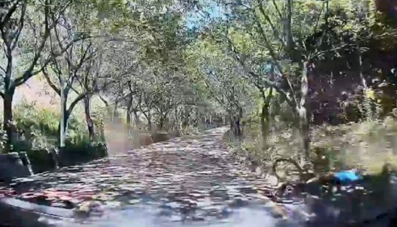 소방관과 공무원 부부가 쉬는 날 차를 타고 가던 중 심정지 환자의 목숨을 구한 사연이 알려졌다. [사진=부산시소방본부]