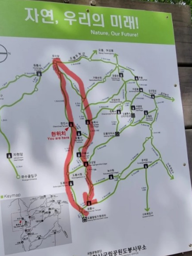 '피톤치드' 걷기좋은 휴양림 BEST 8곳