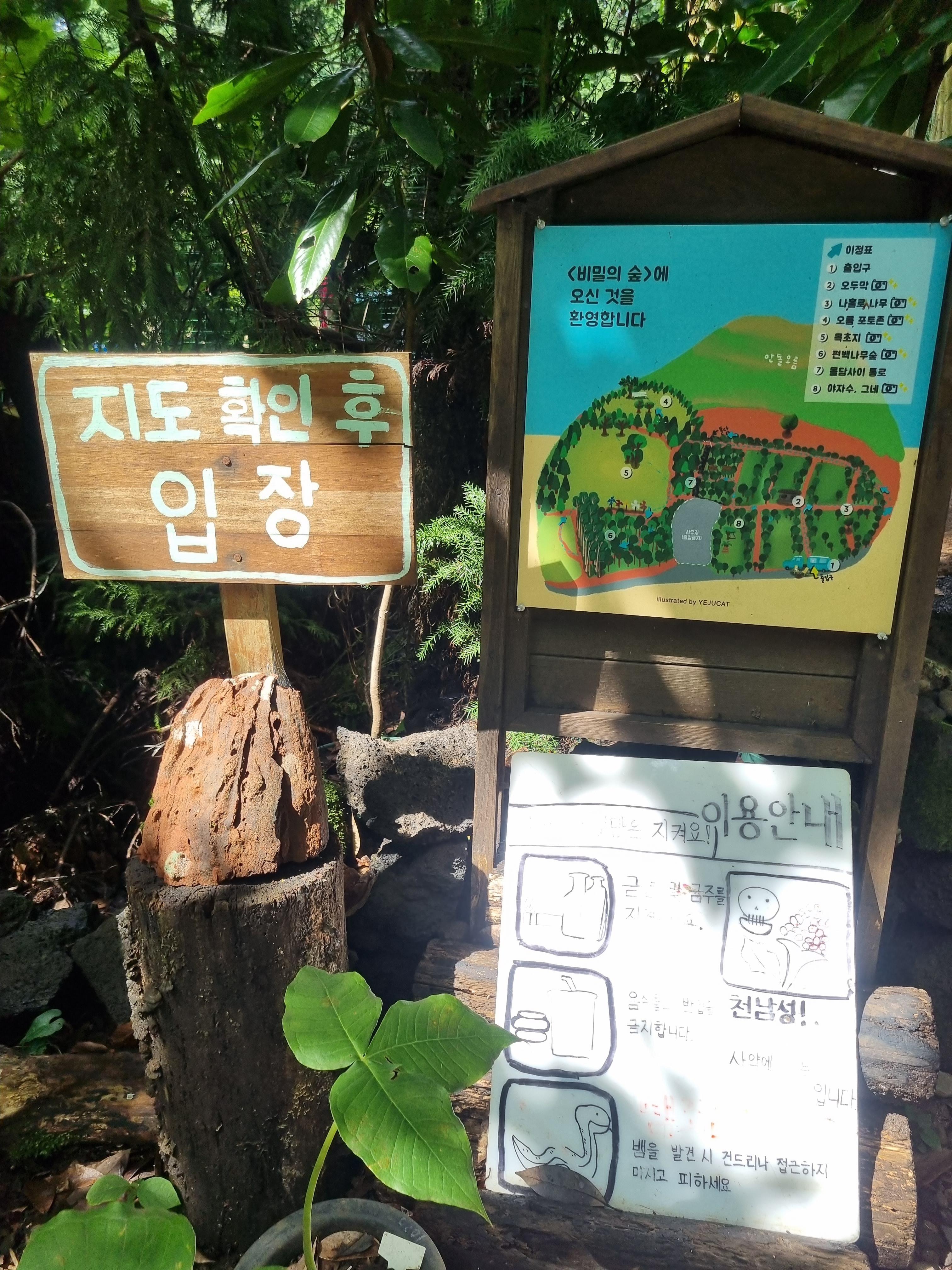 비밀의숲