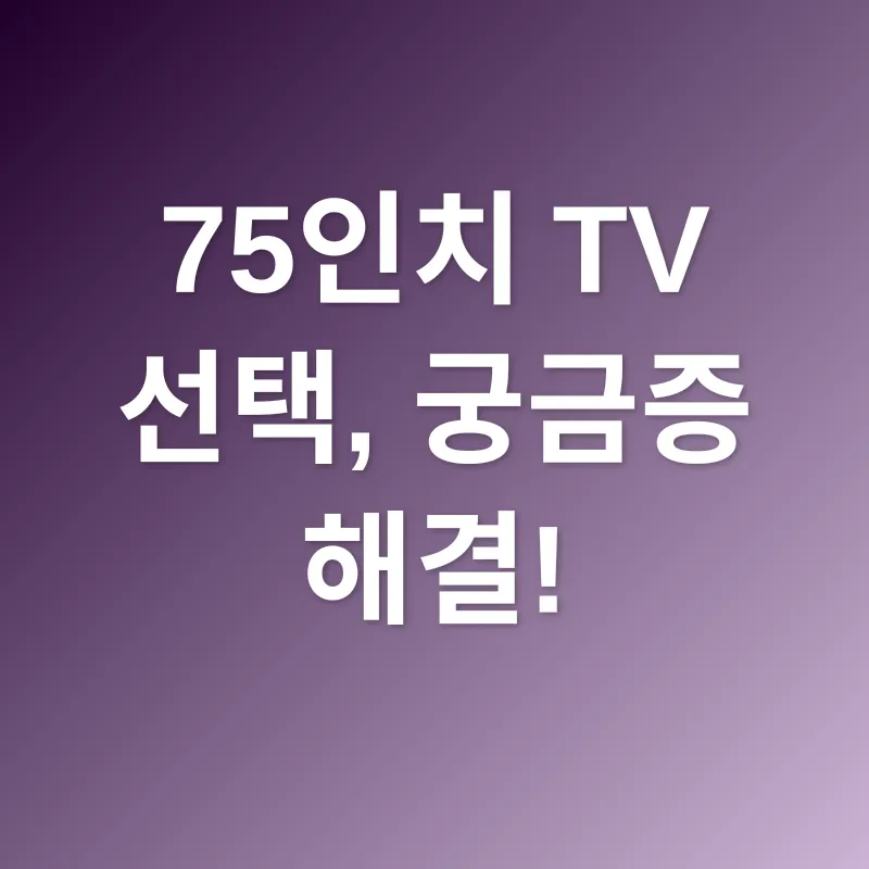 75인치 TV 선택_4