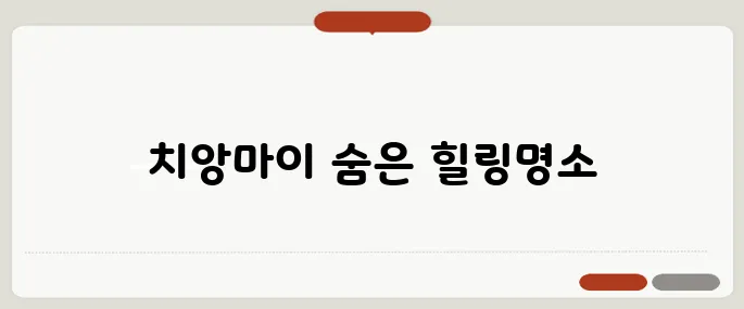 태국 치앙마이 여행 코스 베스트 조용한 해외 힐링여행지