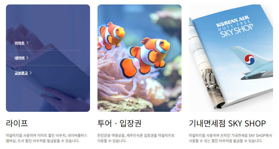 대한항공 마일리지 조회