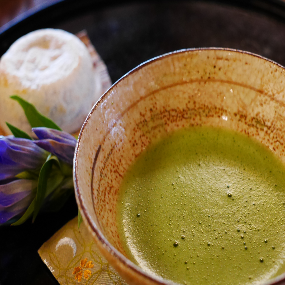 와카페 일본풍카페 관련 사진